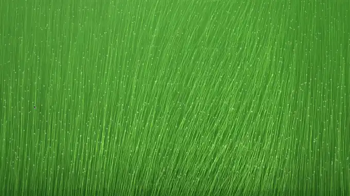 If Wind Had Shape — generative reed grass study