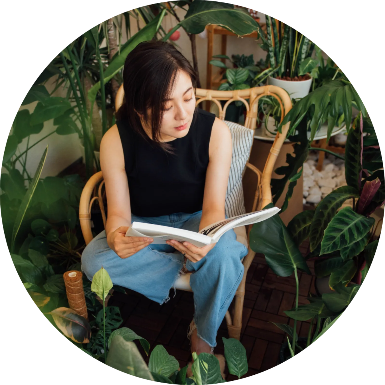 Xinyi — reading among houseplants
